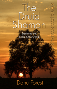 Druid Shaman