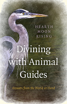 Divining with Animal Guides