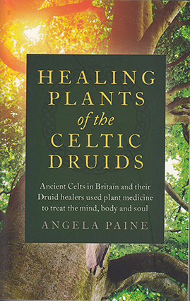 Healing Plants of the Celtic Druids by Angela Paine