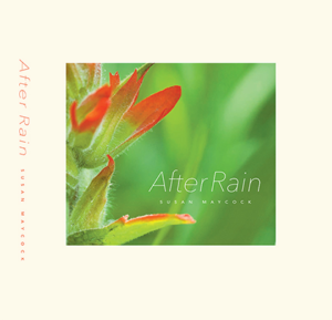 After Rain by Susan Maycock