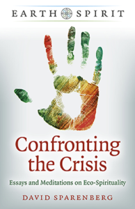 Confronting the Crisis by David Sparenberg